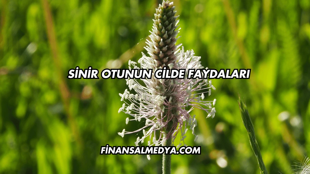 Sinir Otunun Cilde Faydaları