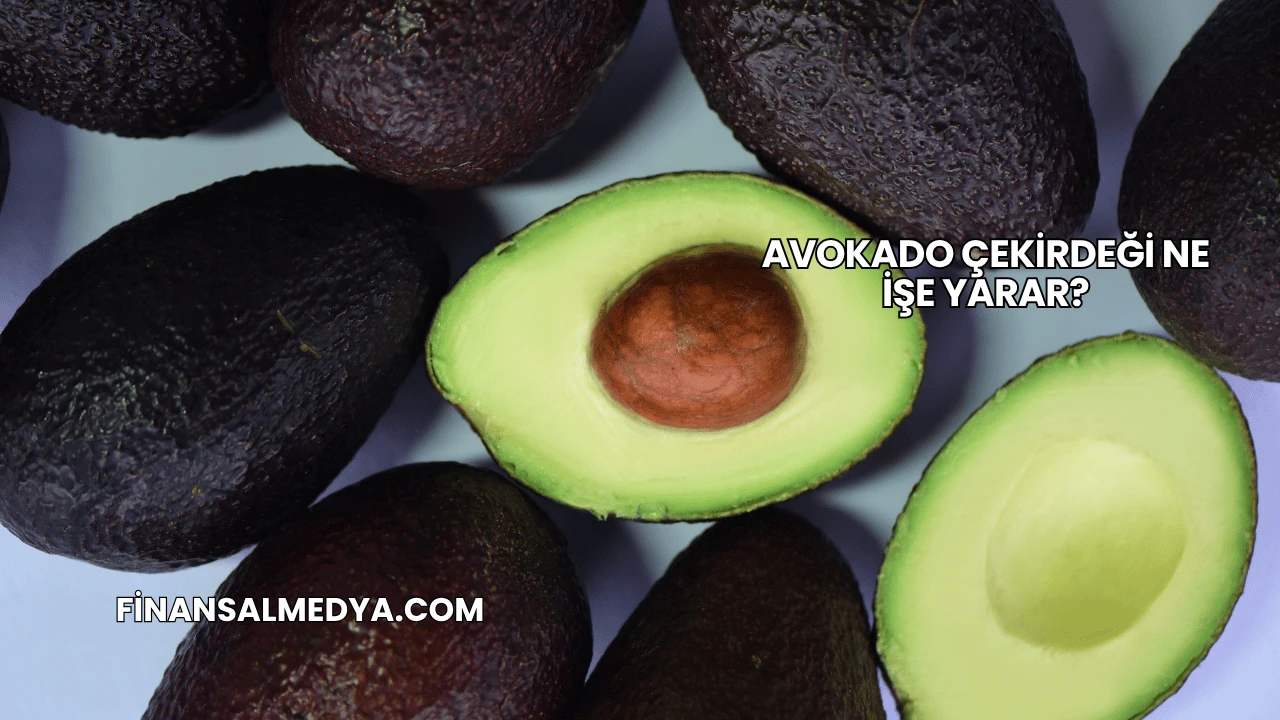 Avokado Çekirdeği Ne İşe Yarar?