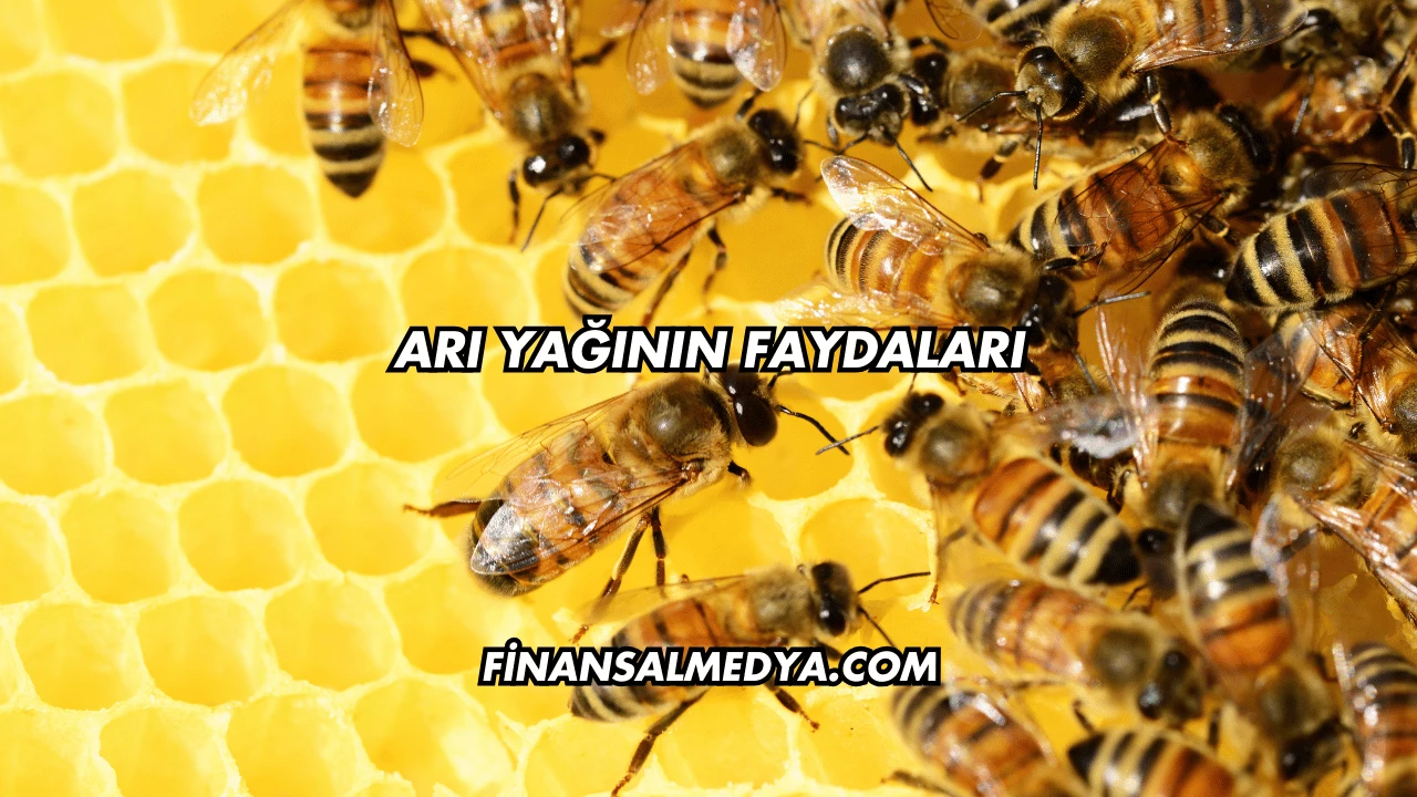 Arı Yağının Faydaları