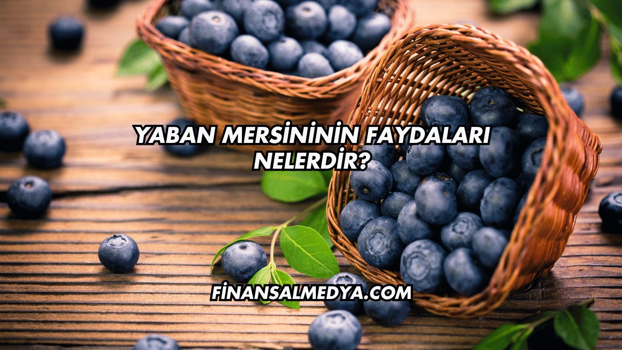 Yaban Mersininin Faydaları Nelerdir?