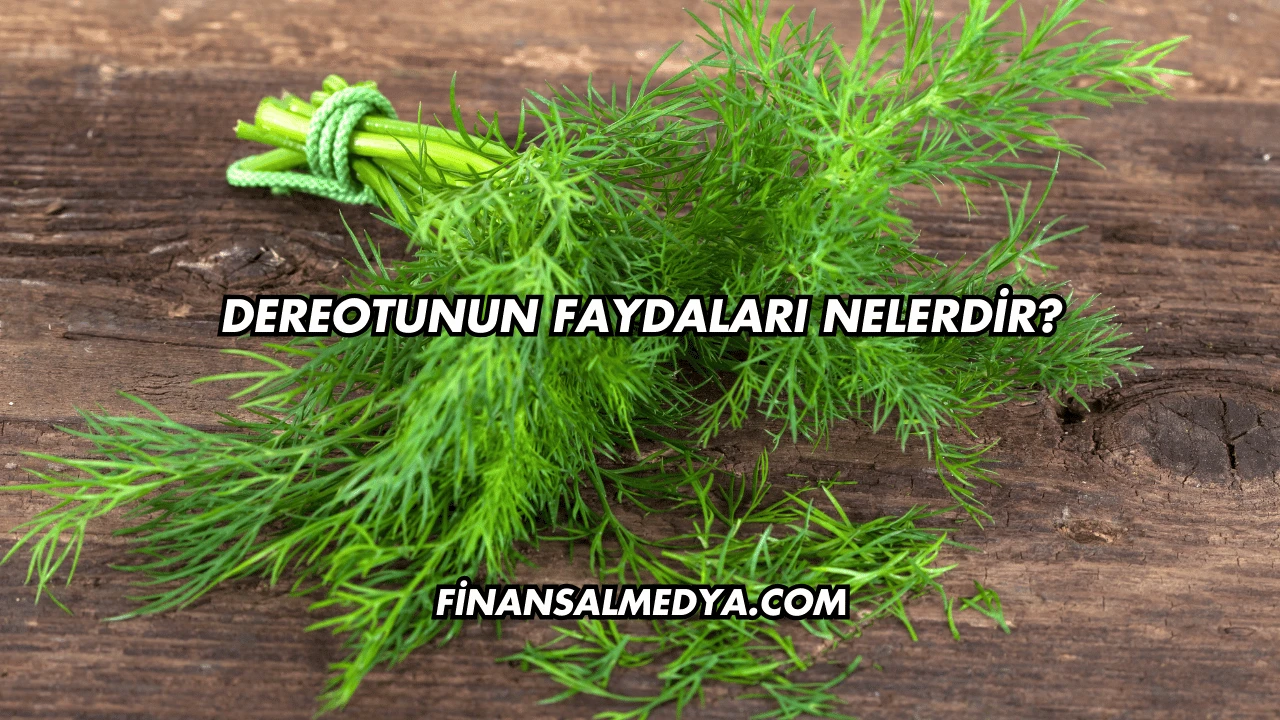 Dereotunun Faydaları Nelerdir?