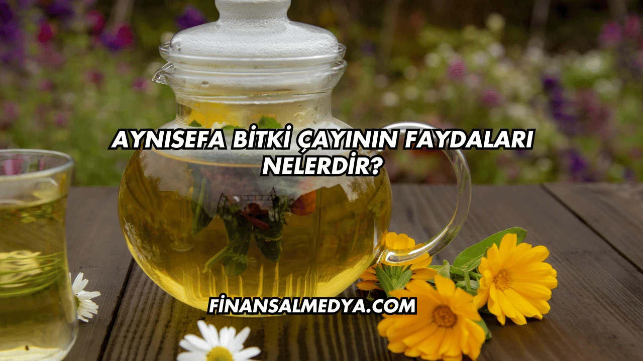 Aynısefa Bitki Çayının Faydaları Nelerdir?