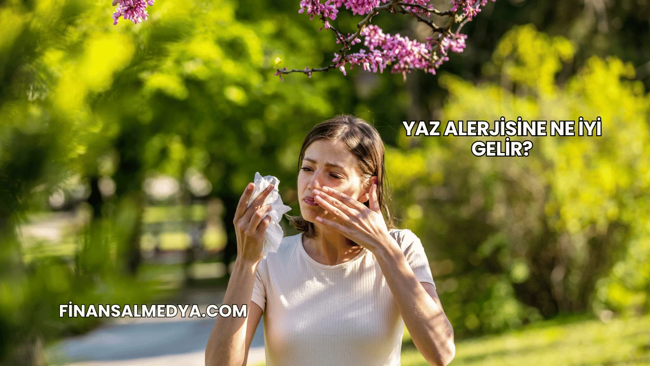 Yaz Alerjisine Ne İyi Gelir?