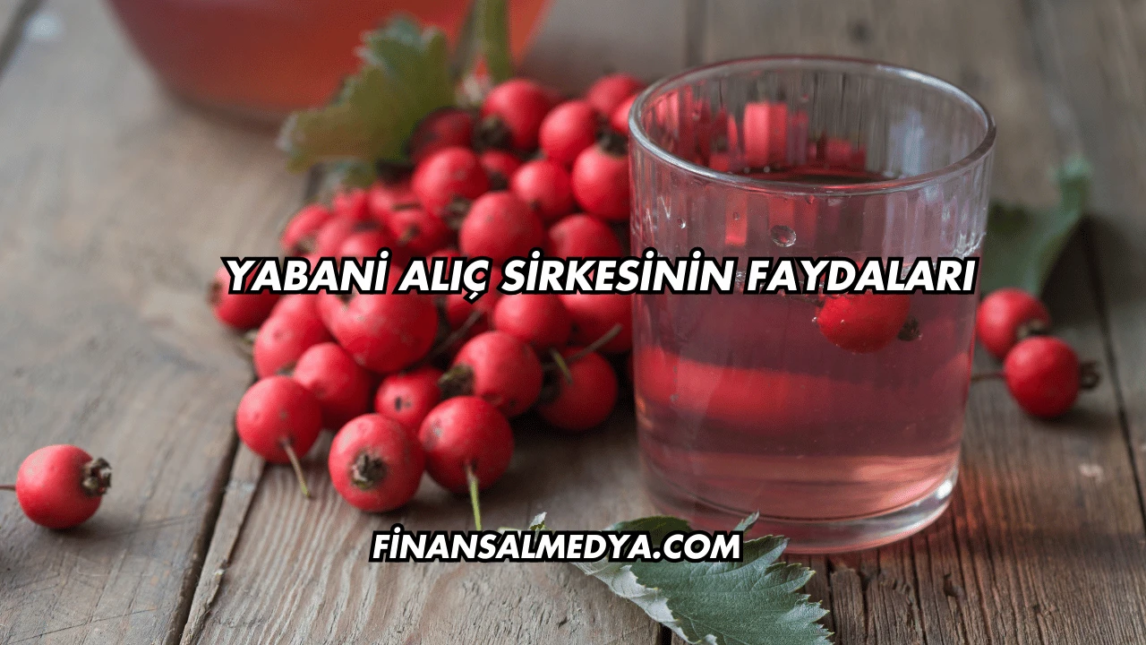 Yabani Alıç Sirkesinin Faydaları