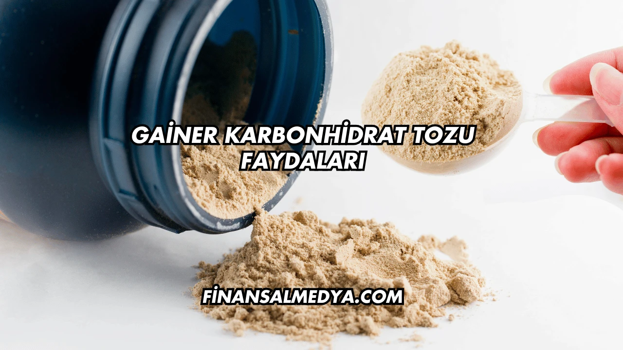 Gainer Karbonhidrat Tozu Faydaları