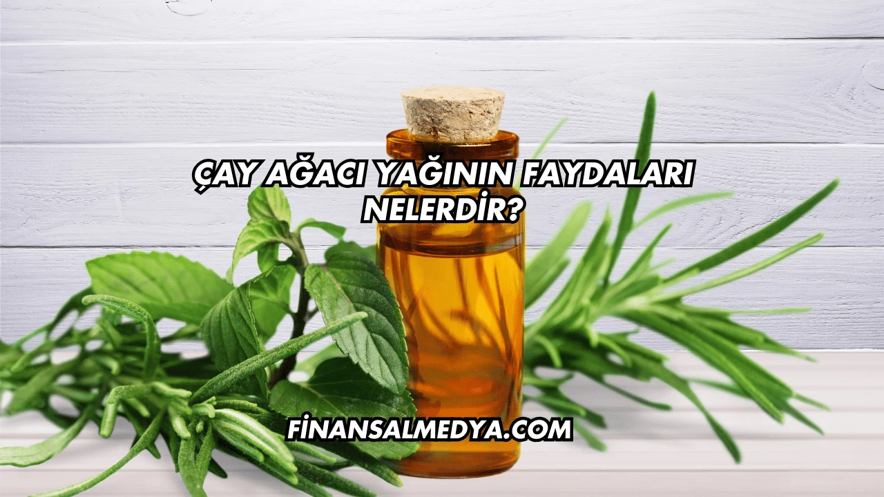 Çay Ağacı Yağının Faydaları Nelerdir?