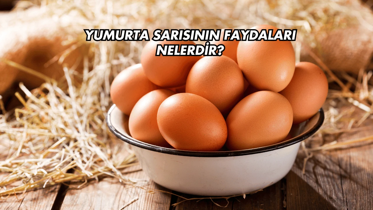 Yumurta Sarısının Faydaları Nelerdir?
