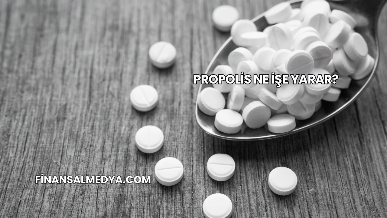 Propolis Ne İşe Yarar?