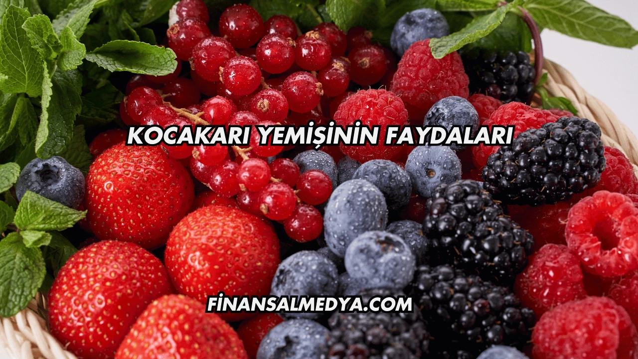 Kocakarı Yemişinin Faydaları