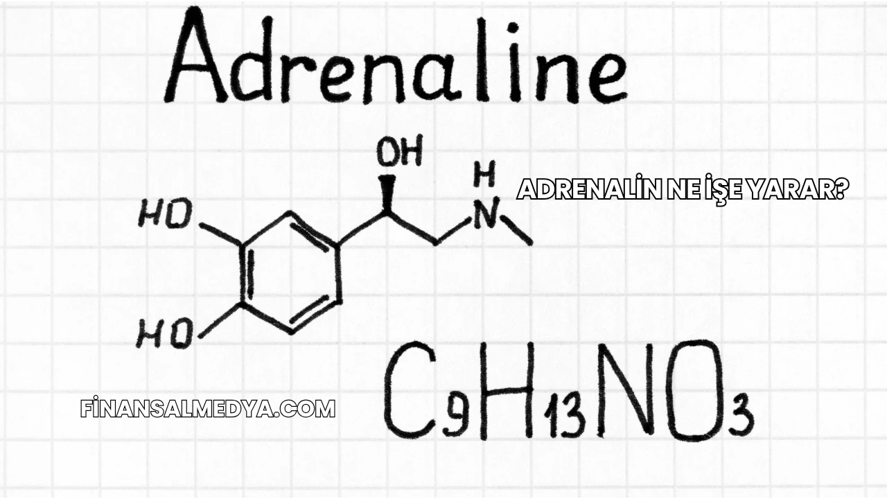 Adrenalin Ne İşe Yarar?