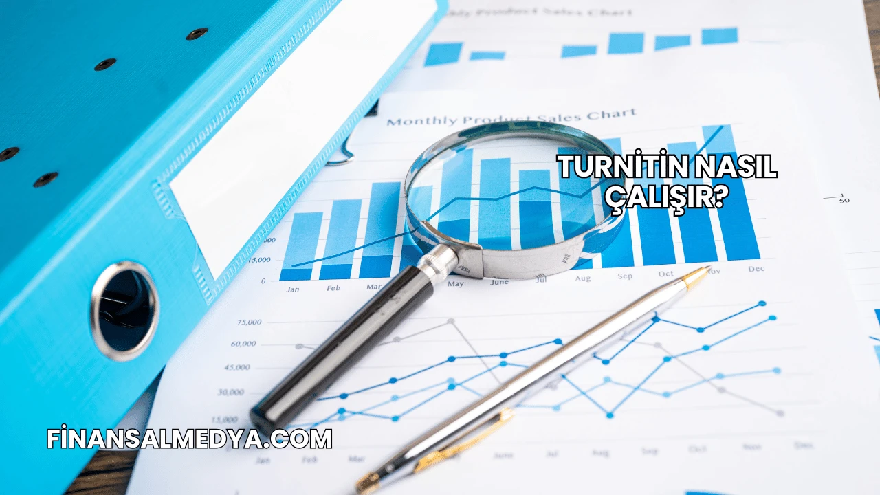 Turnitin Nasıl Çalışır?