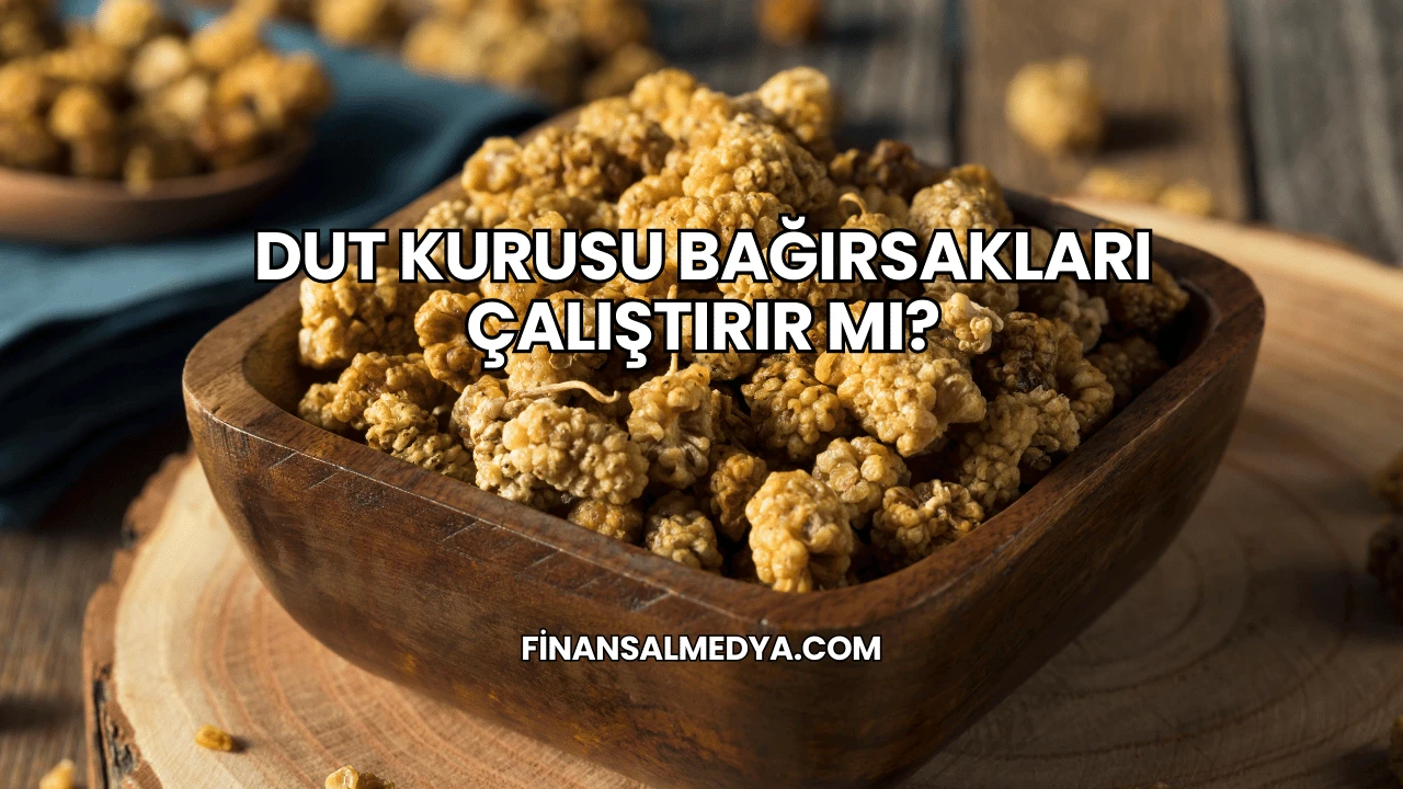 Dut Kurusu Bağırsakları Çalıştırır mı?