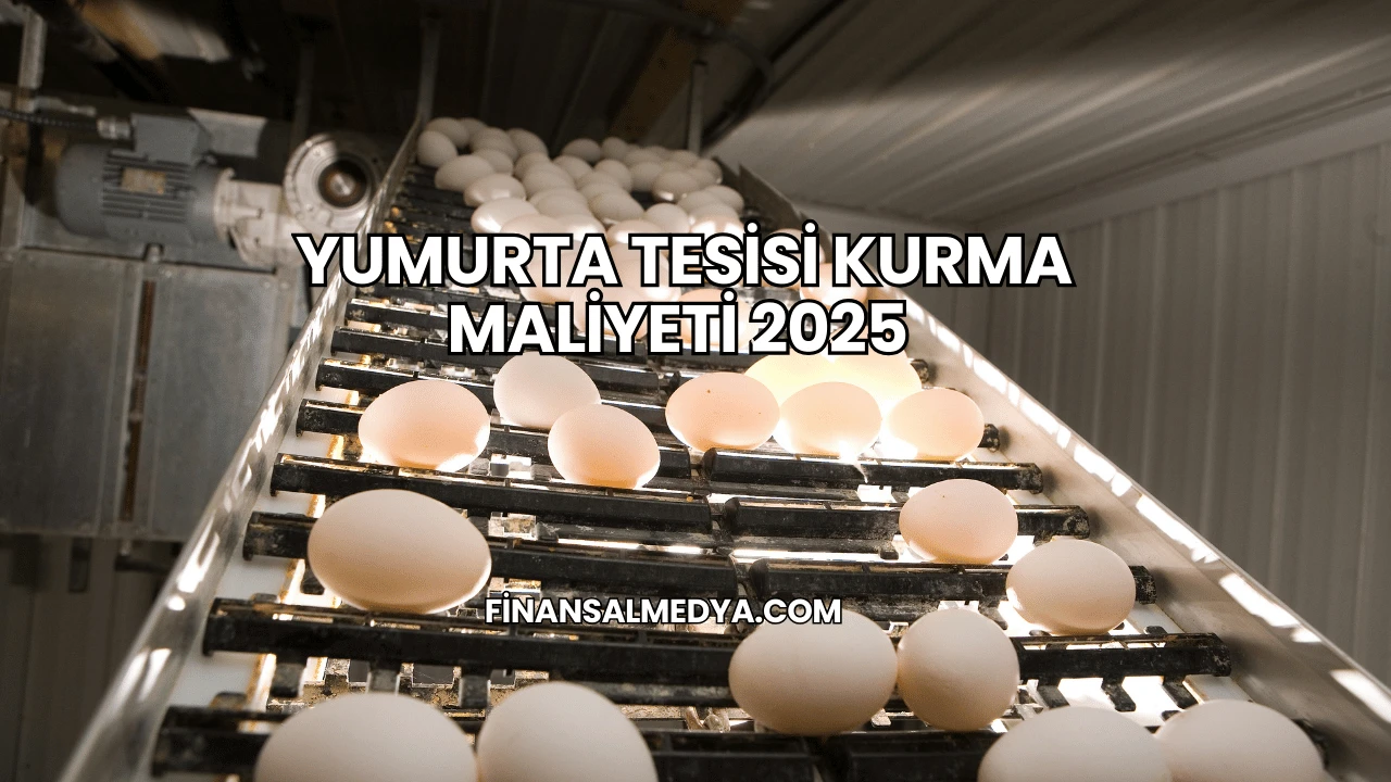 Yumurta Tesisi Kurma Maliyeti 2025