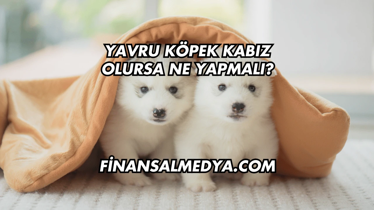 Yavru Köpek Kabız Olursa Ne Yapmalı?