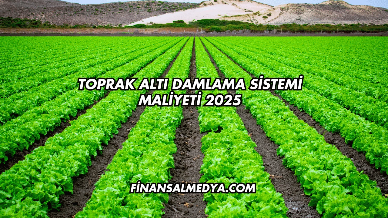 Toprak Altı Damlama Sistemi Maliyeti 2025