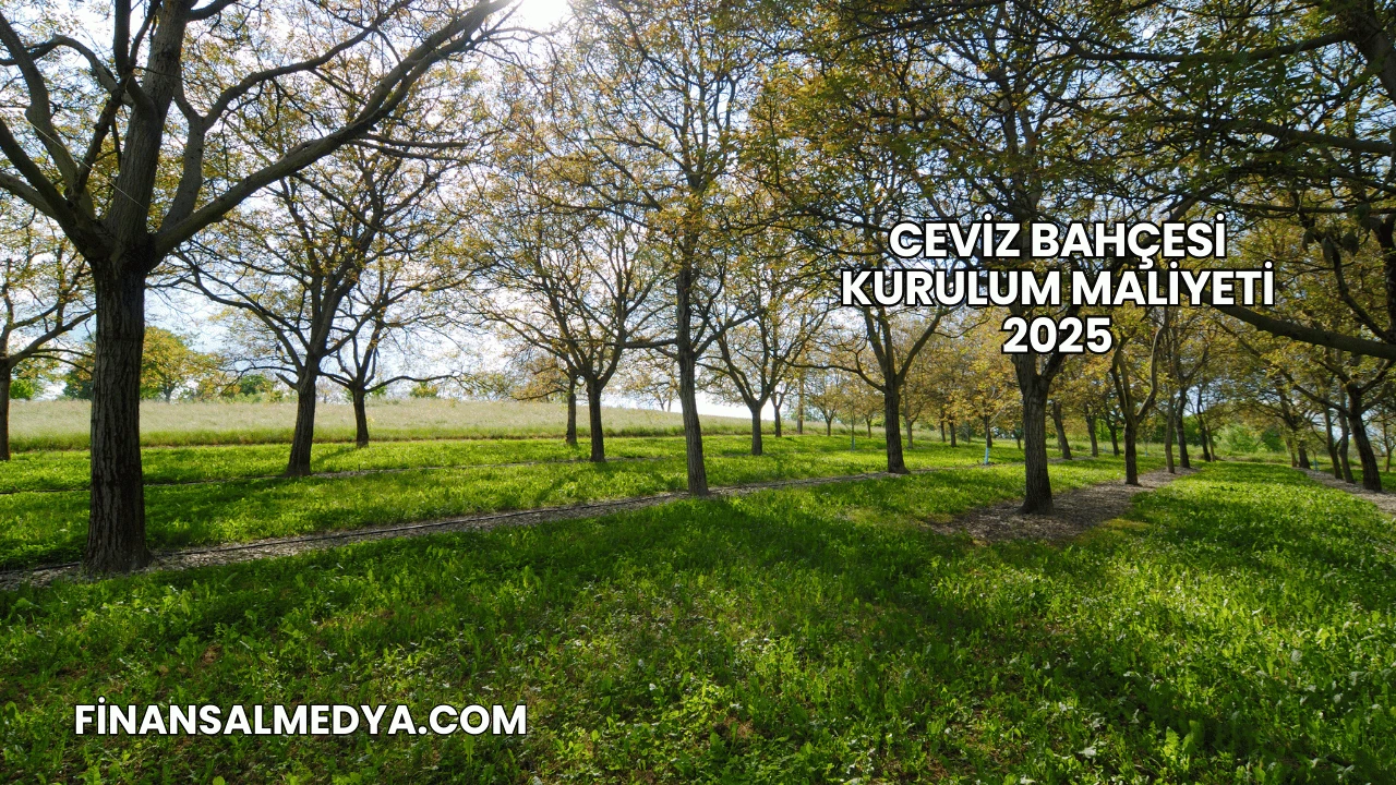 Ceviz Bahçesi Kurulum Maliyeti 2025