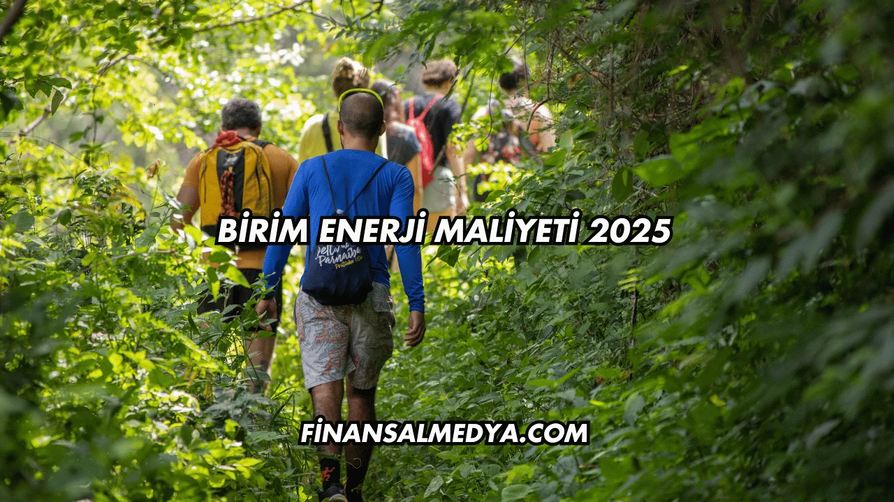 Birim Enerji Maliyeti 2025