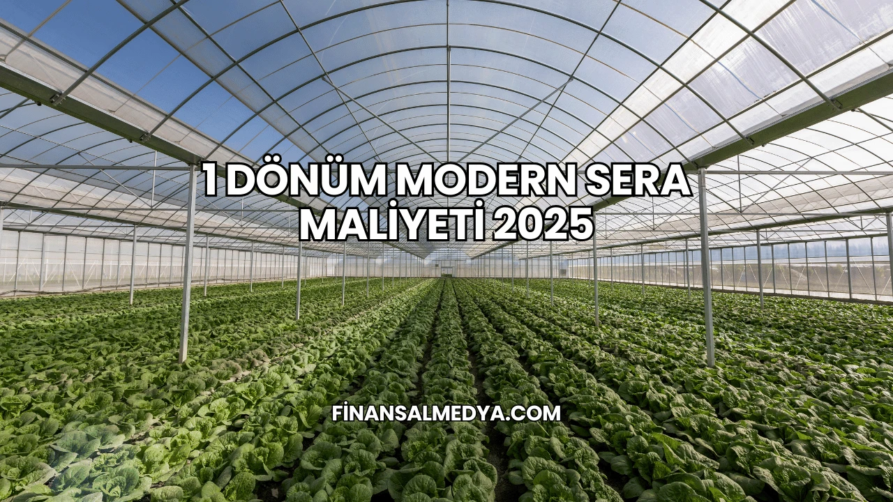 1 Dönüm Modern Sera Maliyeti 2025