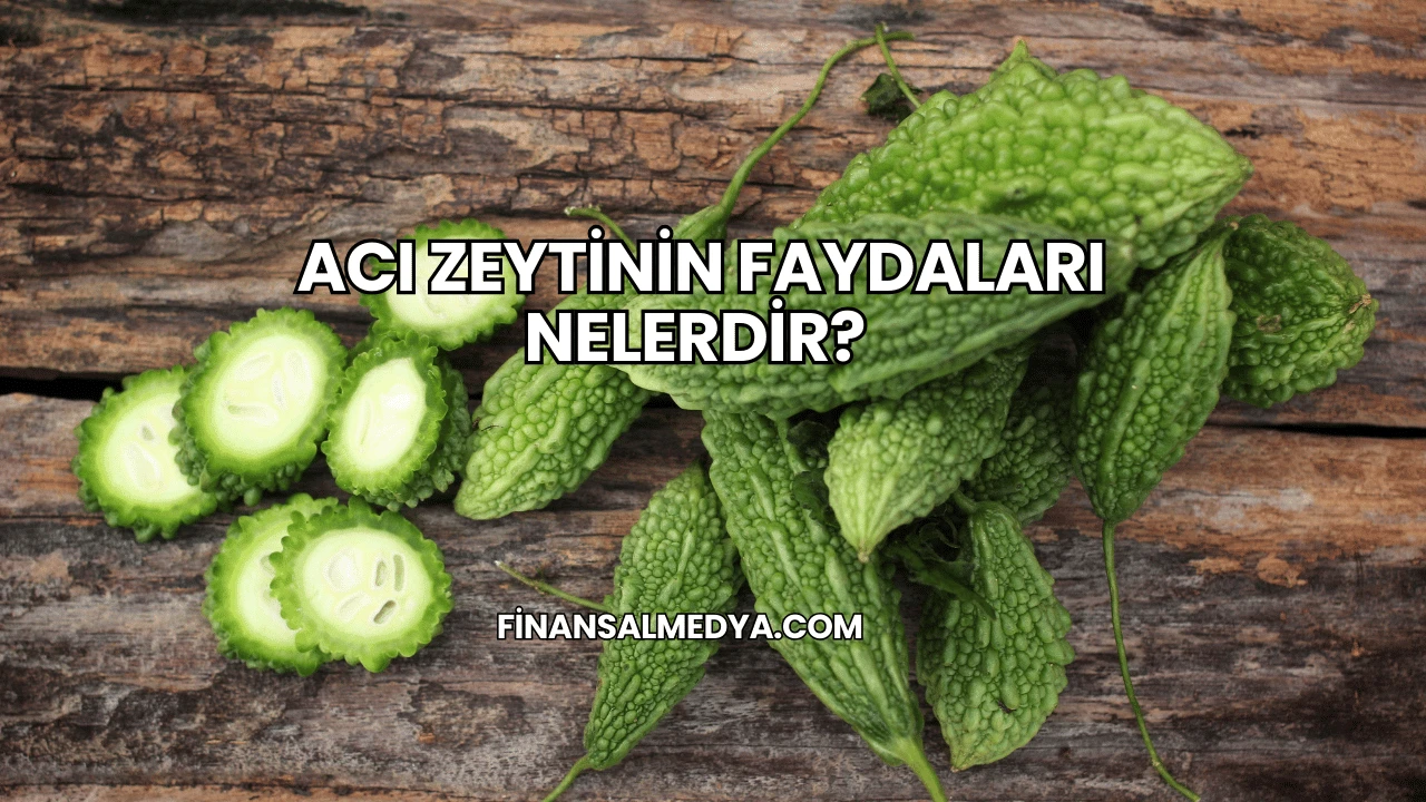 Acı Zeytinin Faydaları Nelerdir?