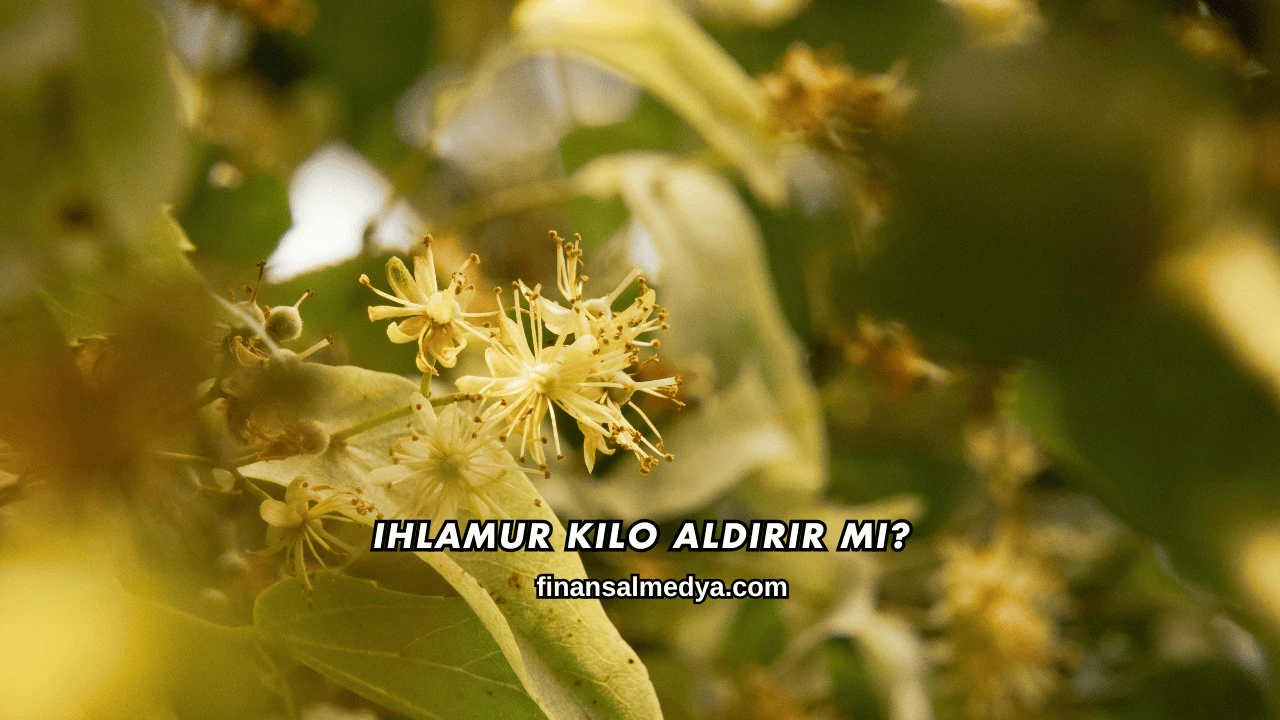 Ihlamur Kilo Aldırır mı?