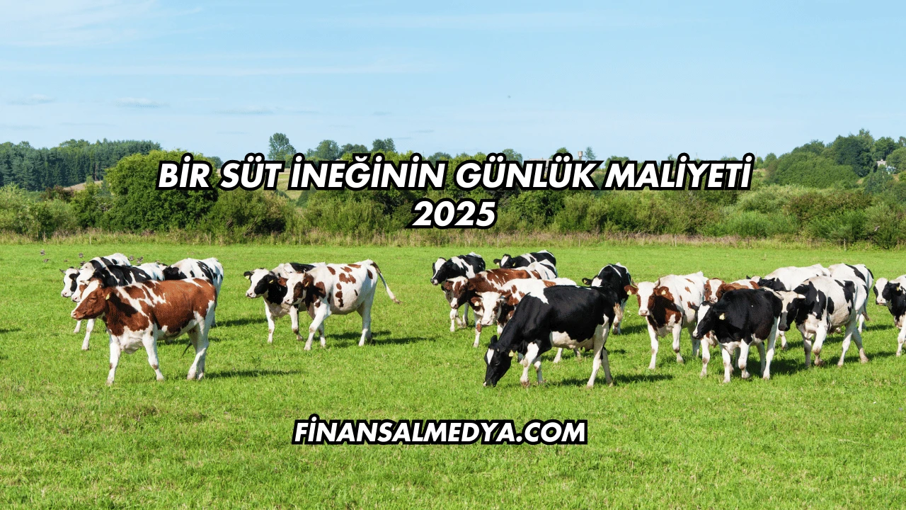 Bir Süt İneğinin Günlük Maliyeti 2025