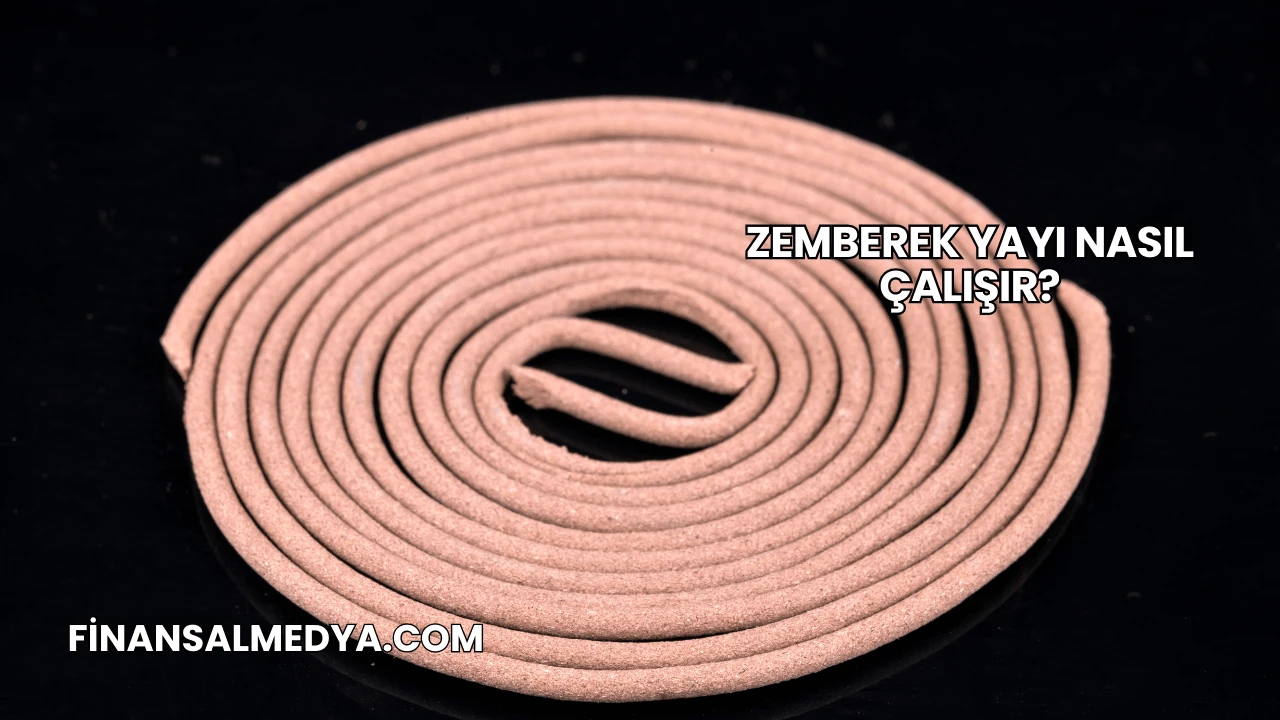 Zemberek Yayı Nasıl Çalışır?