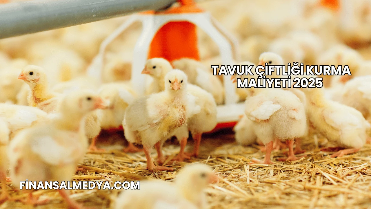 Tavuk Çiftliği Kurma Maliyeti 2025