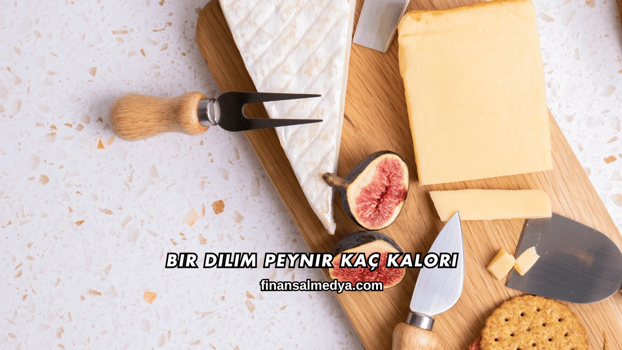 Bir Dilim Peynir Kaç Kalori