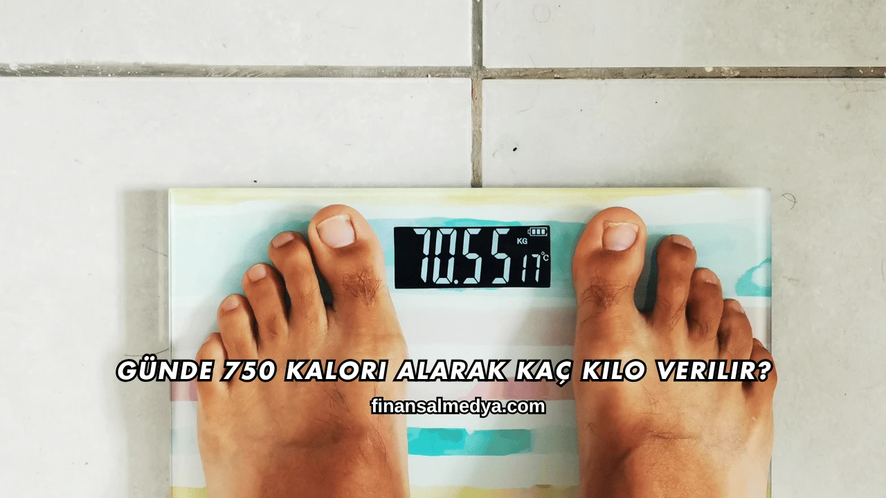 Günde 750 Kalori Alarak Kaç Kilo Verilir?