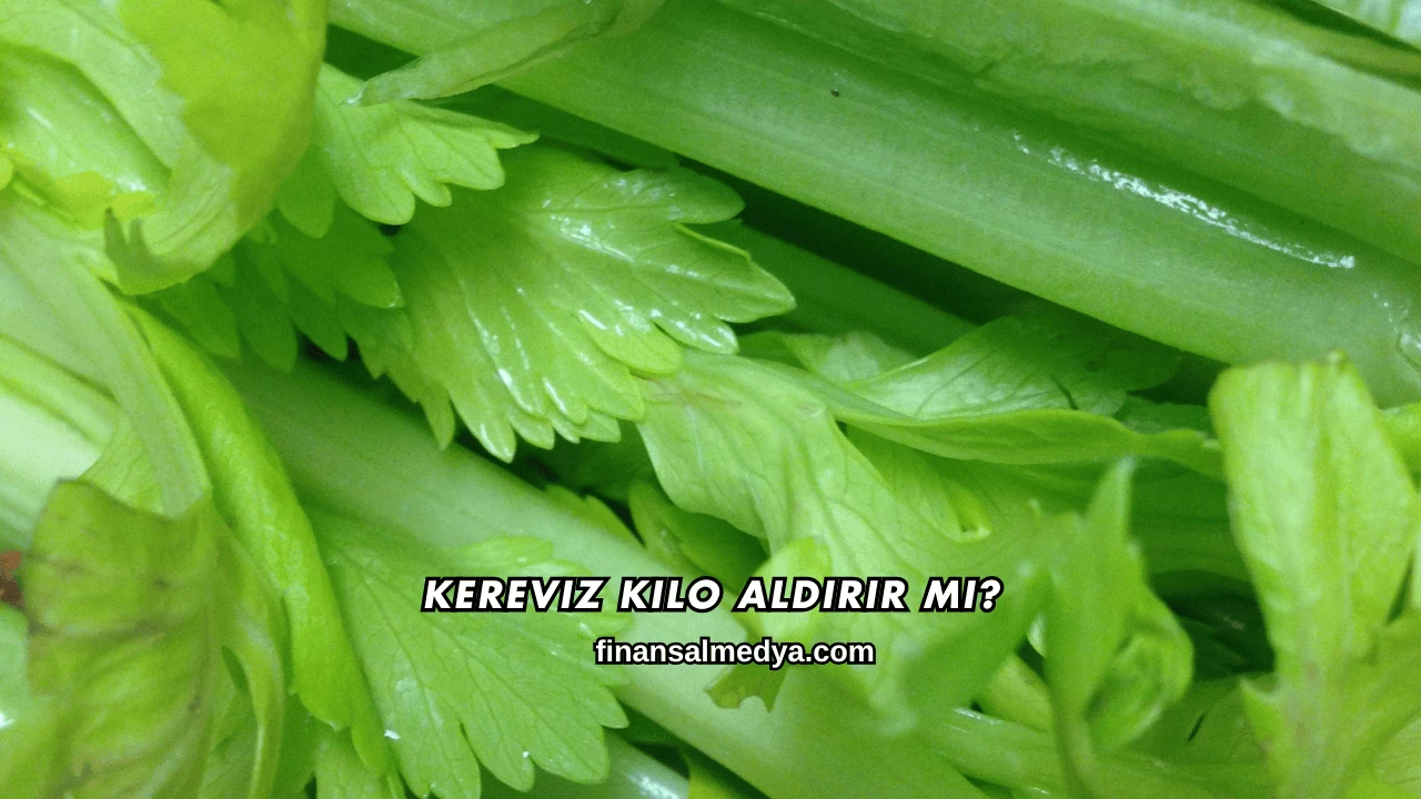 Kereviz Kilo Aldırır mı?