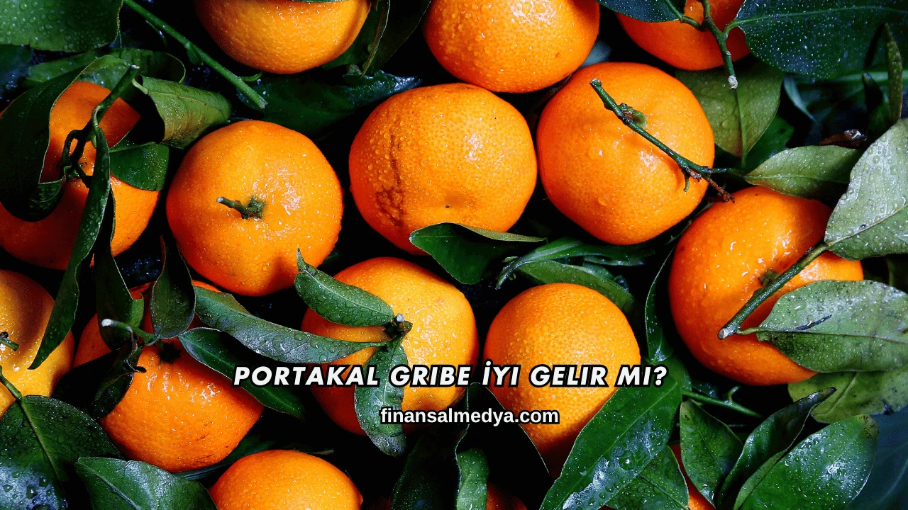 Portakal Gribe İyi Gelir mi?