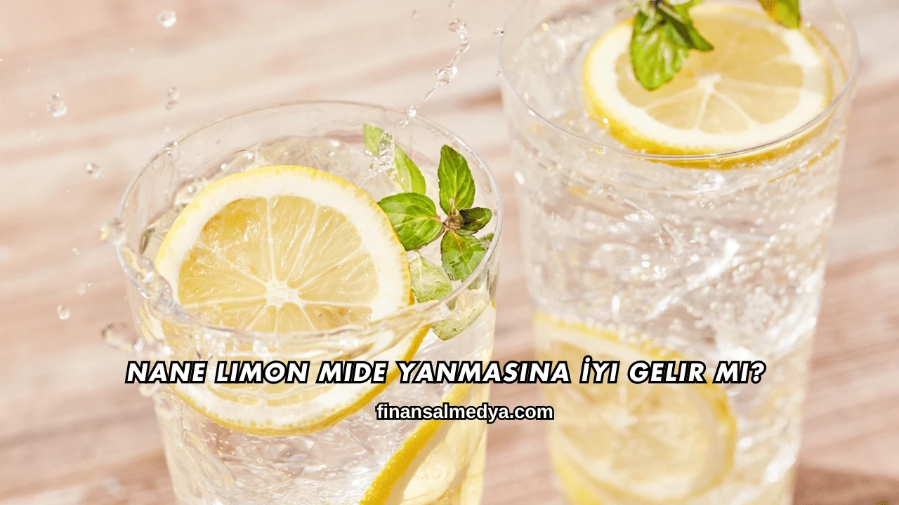 Nane Limon Mide Yanmasına İyi Gelir mi?
