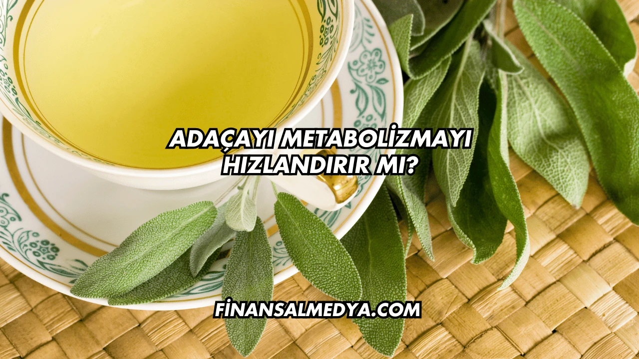 Adaçayı Metabolizmayı Hızlandırır mı?