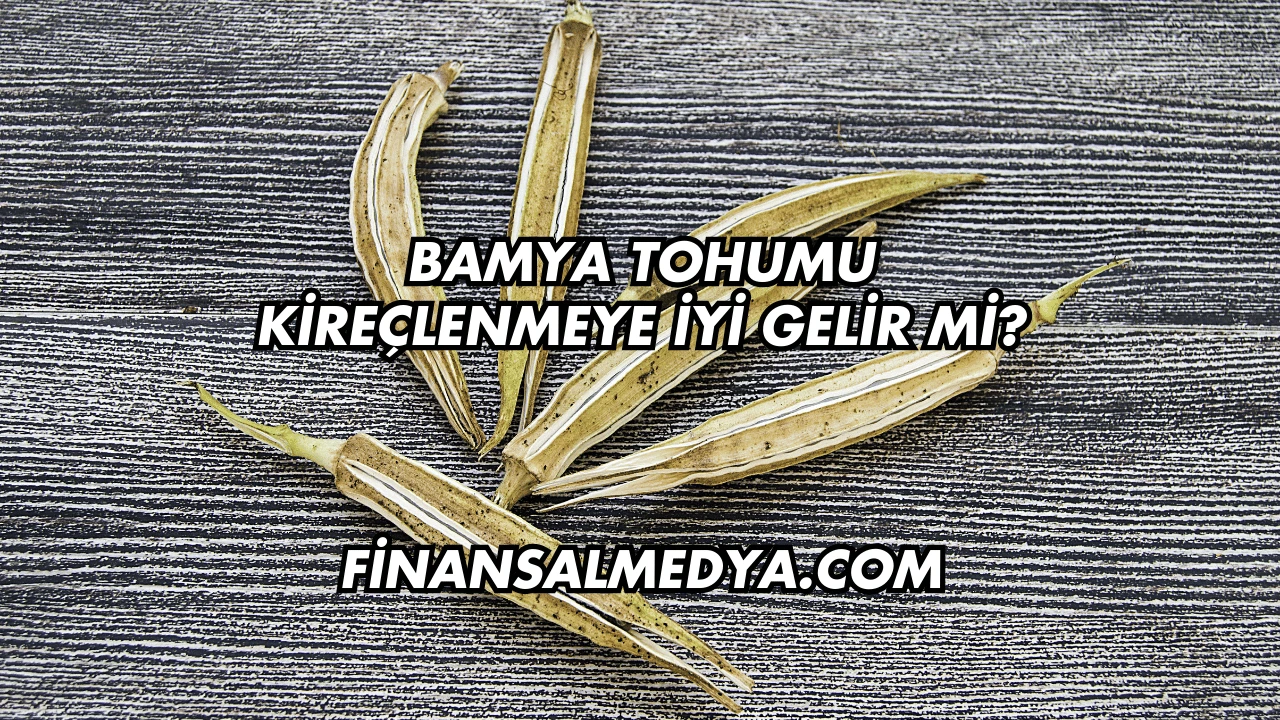 Bamya Tohumu Kireçlenmeye İyi Gelir mi?