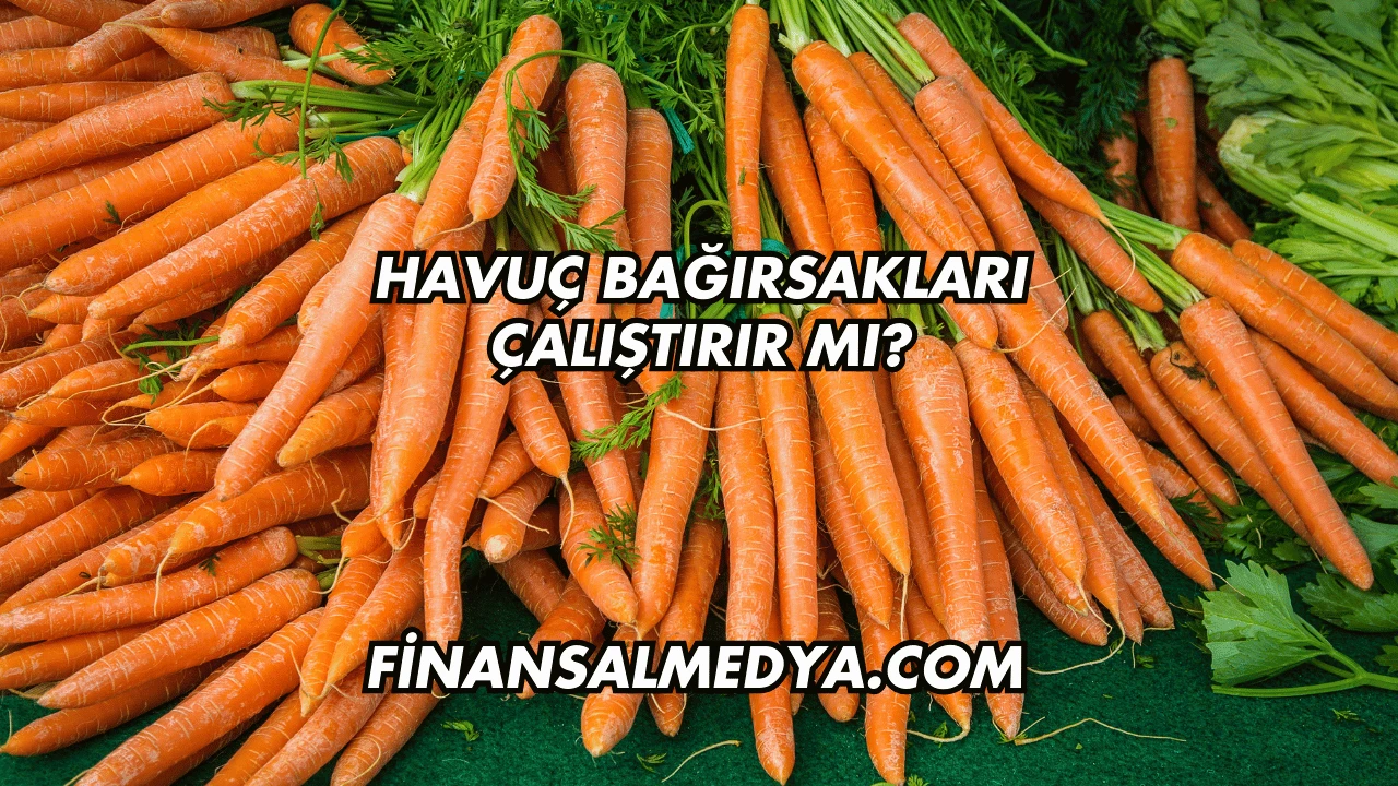Havuç Bağırsakları Çalıştırır mı?