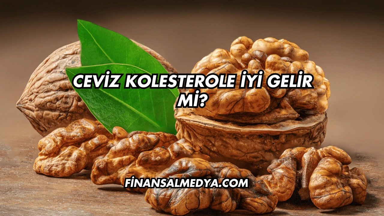 Ceviz Kolesterole İyi Gelir mi?