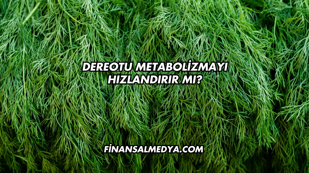 Dereotu Metabolizmayı Hızlandırır mı?