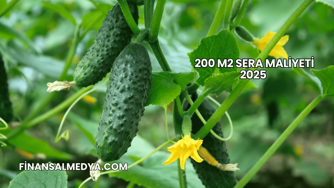200 m2 Sera Maliyeti 2025