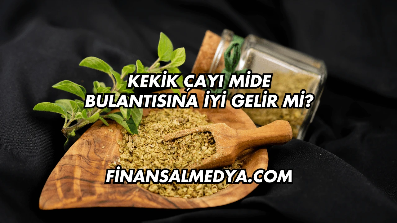 Kekik Çayı Mide Bulantısına İyi Gelir mi?