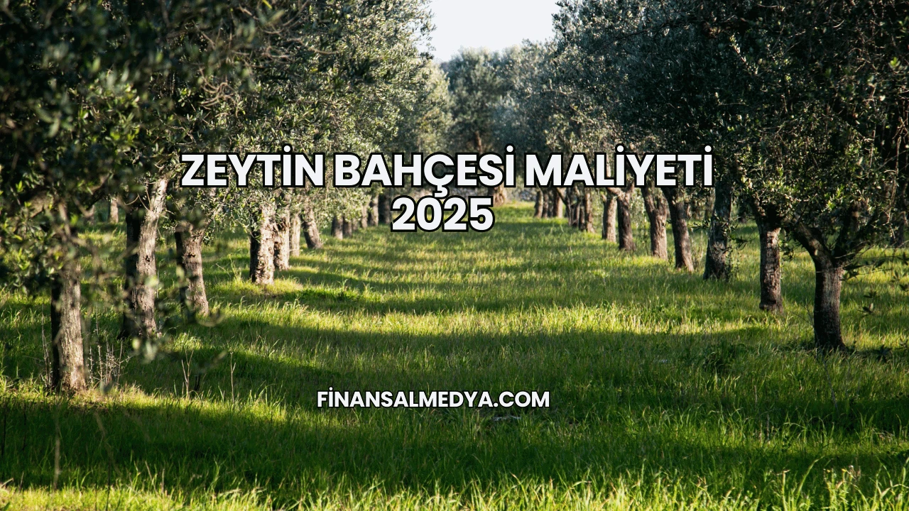 Zeytin Bahçesi Maliyeti 2025