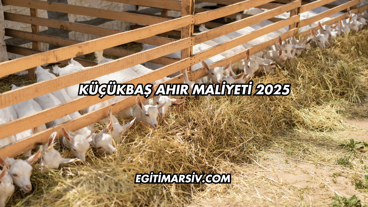 Küçükbaş Ahır Maliyeti 2025