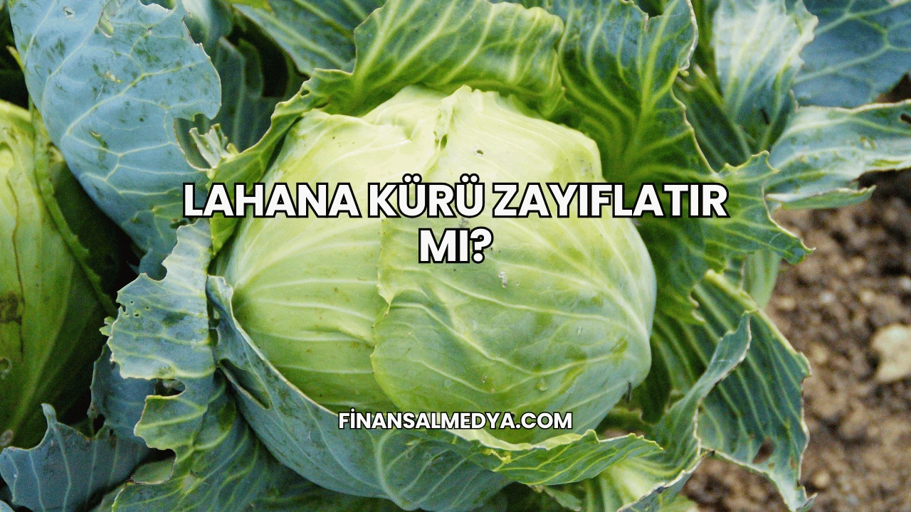 Lahana Kürü Zayıflatır mı?