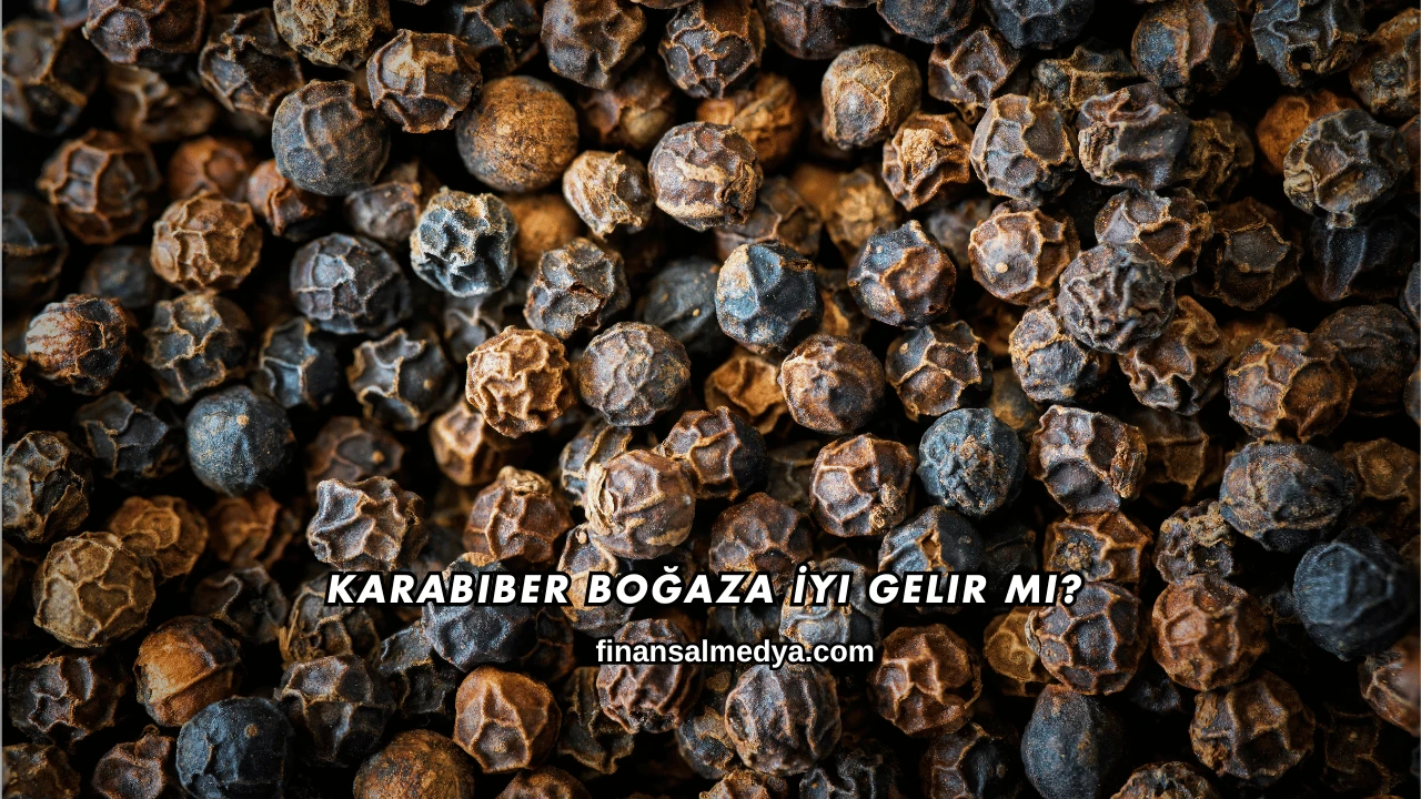 Karabiber Boğaza İyi Gelir mi?