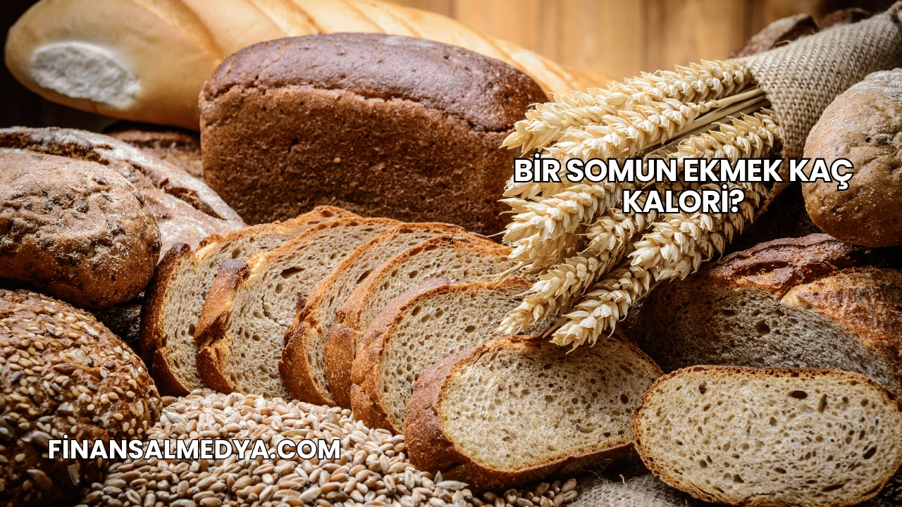Bir Somun Ekmek Kaç Kalori?