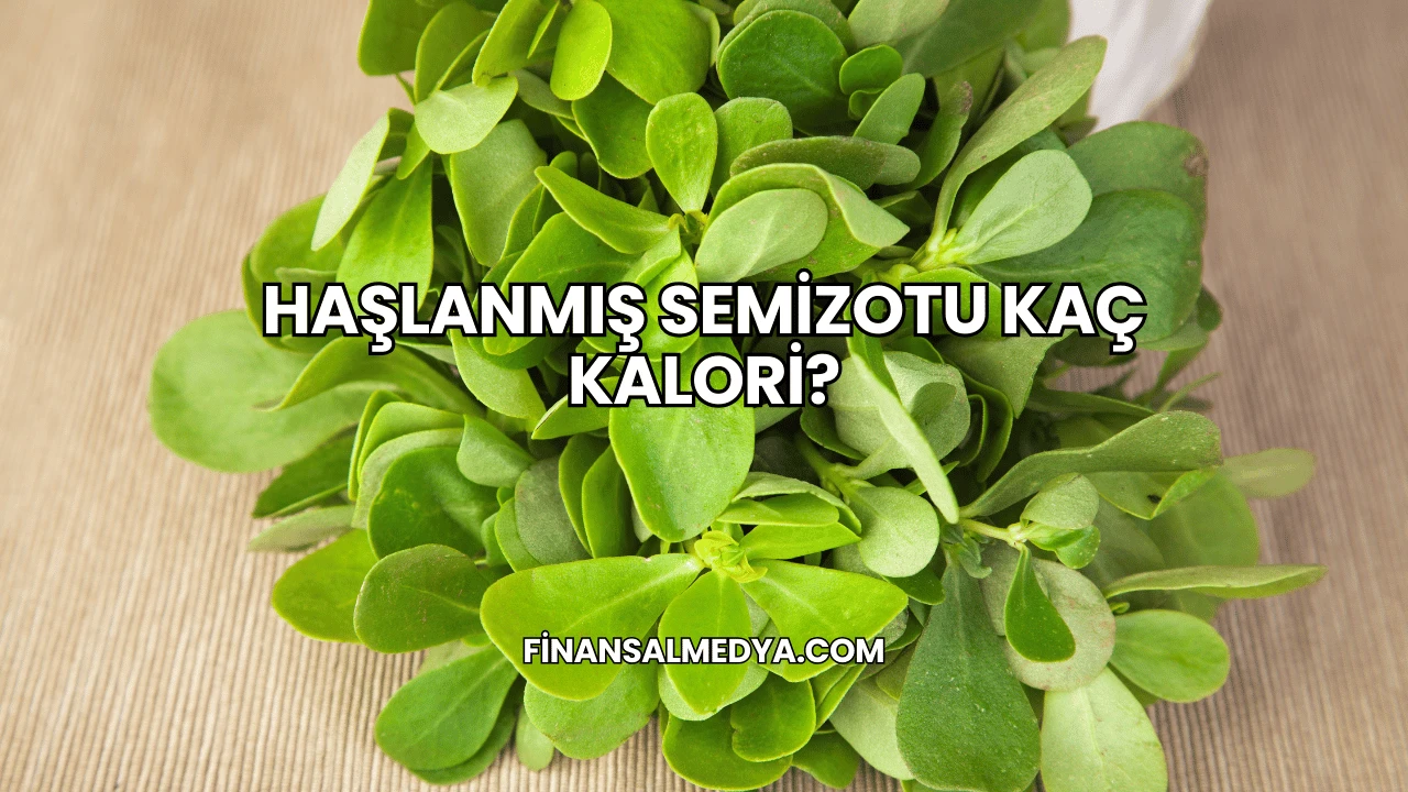 Haşlanmış Semizotu Kaç Kalori?
