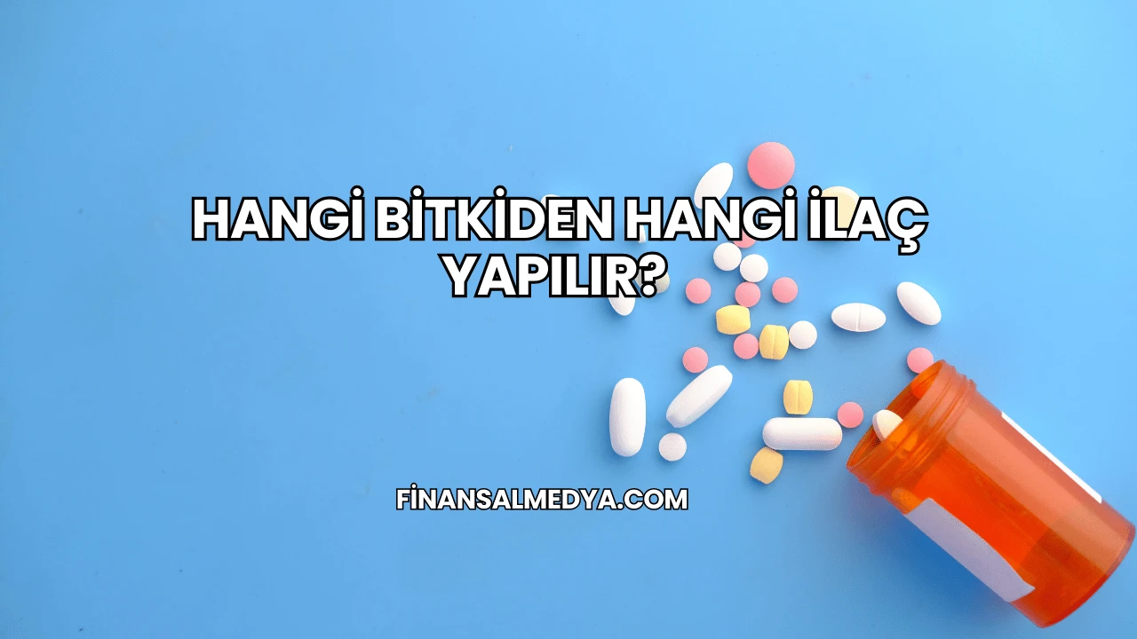 Hangi Bitkiden Hangi İlaç Yapılır?