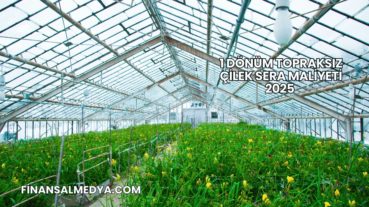 1 Dönüm Topraksız Çilek Sera Maliyeti 2025