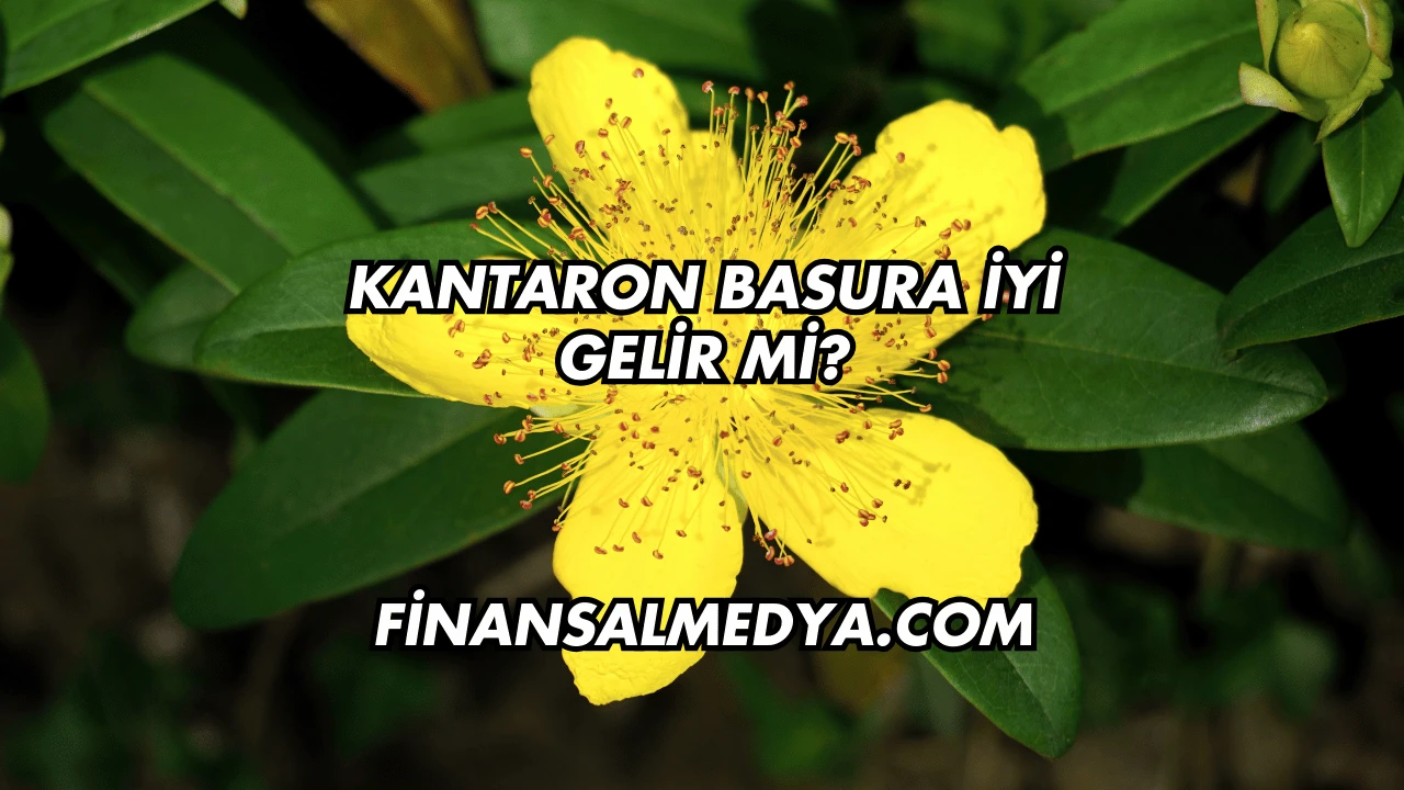 Kantaron Basura İyi Gelir mi?