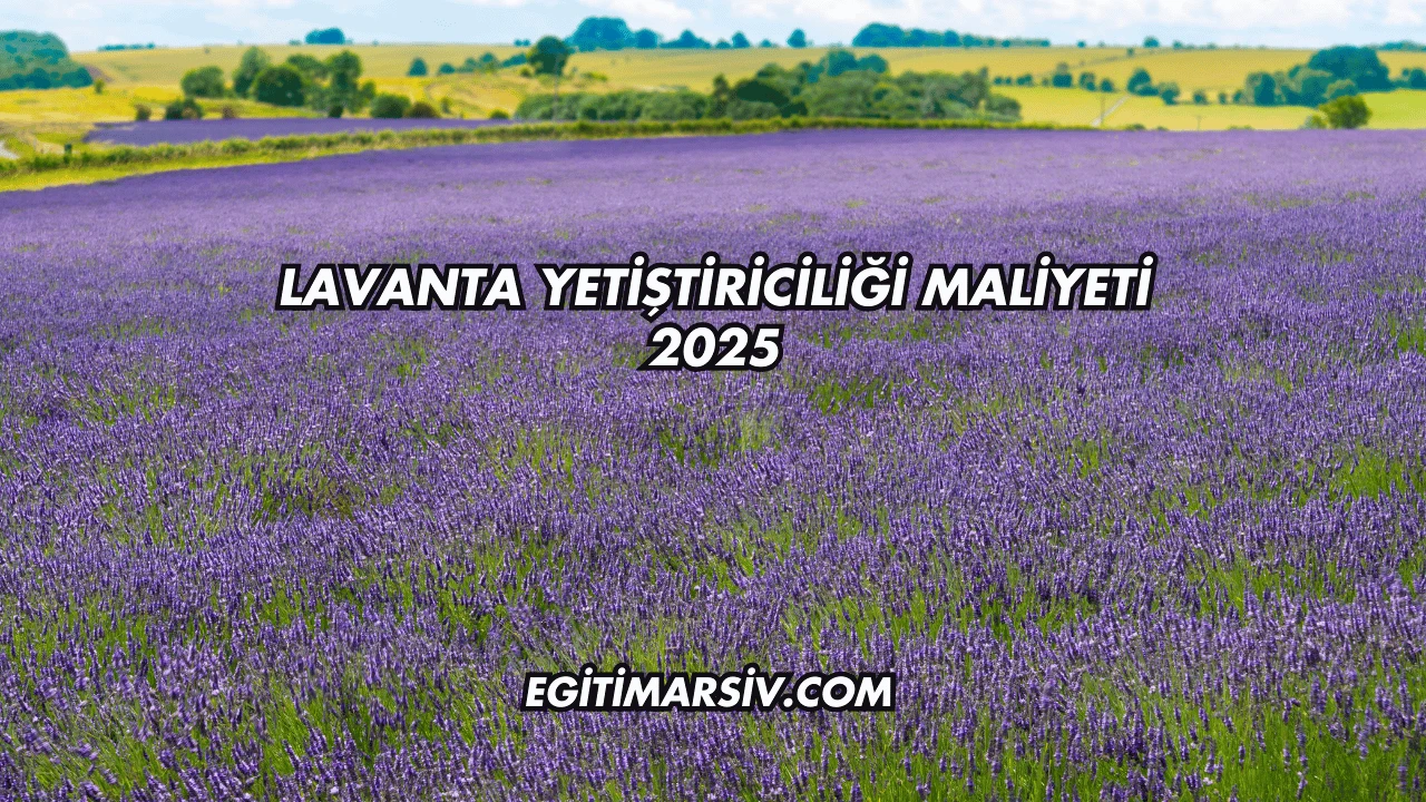 Lavanta Yetiştiriciliği Maliyeti 2025