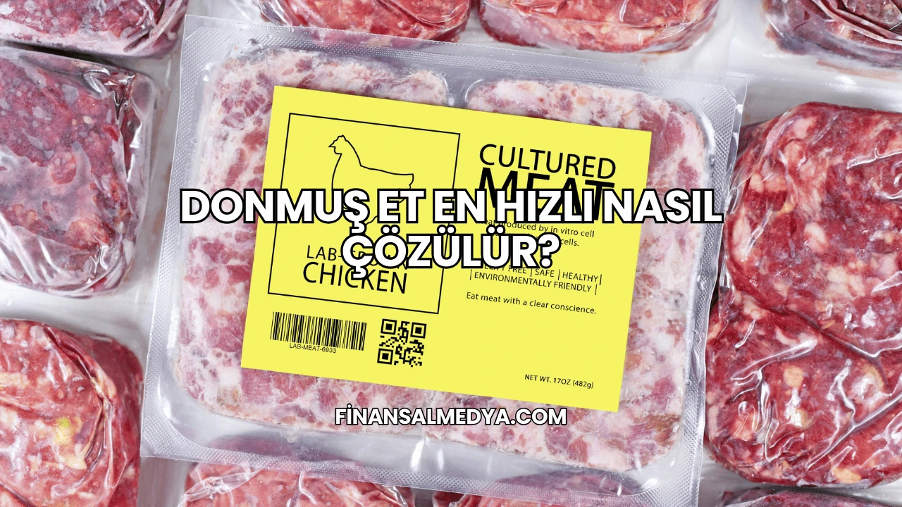 Donmuş Et En Hızlı Nasıl Çözülür?
